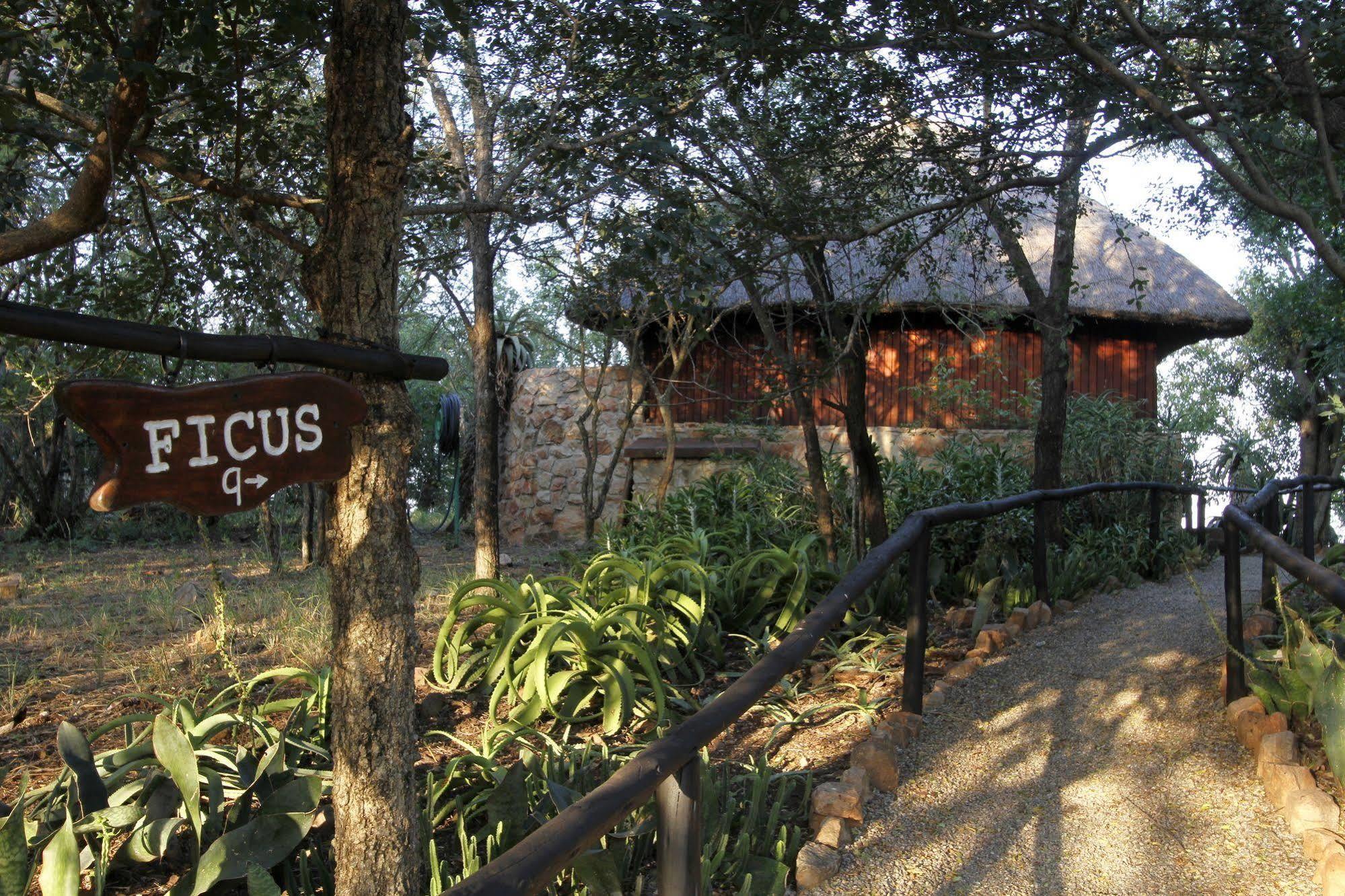 Shayamoya Tiger Fishing And Game Lodge Pongola Exteriör bild
